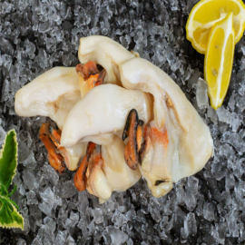 Conch 100% Clear