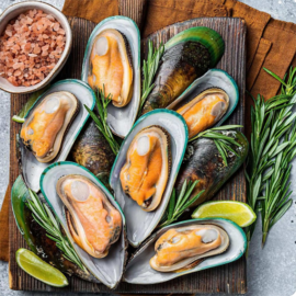 Mediun Green Mussel